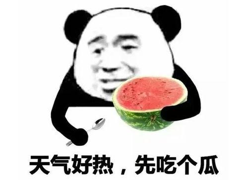 娱乐吃瓜酱现眼包,揭秘明星现眼包背后的故事