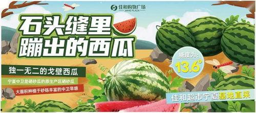 每日大赛在线吃瓜入口,在线吃瓜入口,揭秘精彩瞬间
