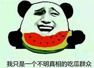 吃瓜群众另一种说法,揭秘“吃瓜群众”背后的真实故事